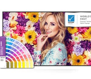 BenQ SL6502K pantone display